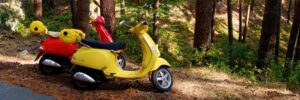 vespa-in-garda-lake.jpg