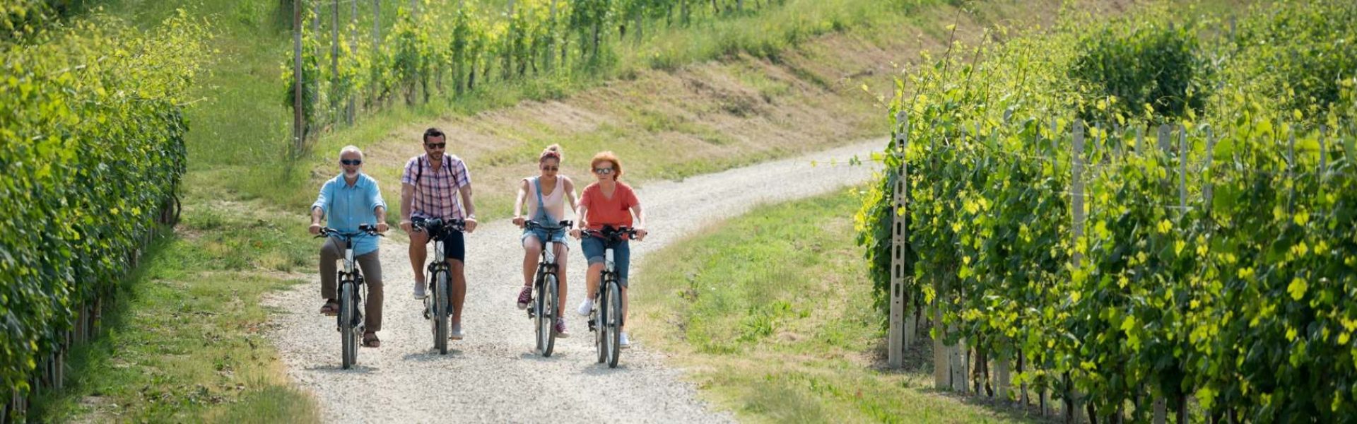 agriturismo-garda agriturismo-garda