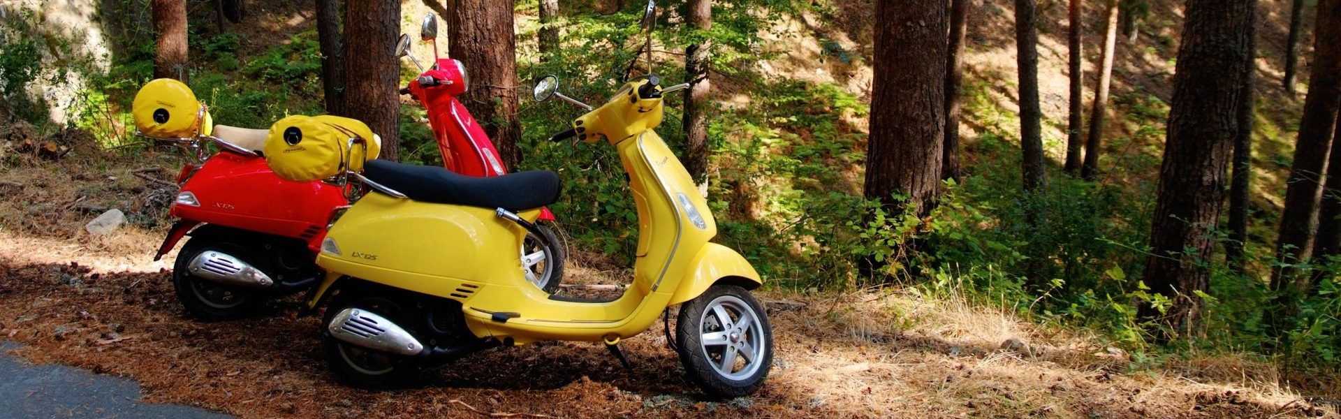 vespa-in-garda-lake.jpg