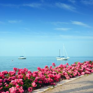 lago di garda