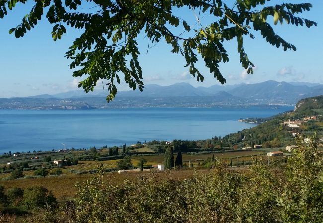 Ferienwohnung in Bardolino - Residence Ai Vigneti With Pool Ferienwohnung in Bardolino - Residence Ai Vigneti With Pool