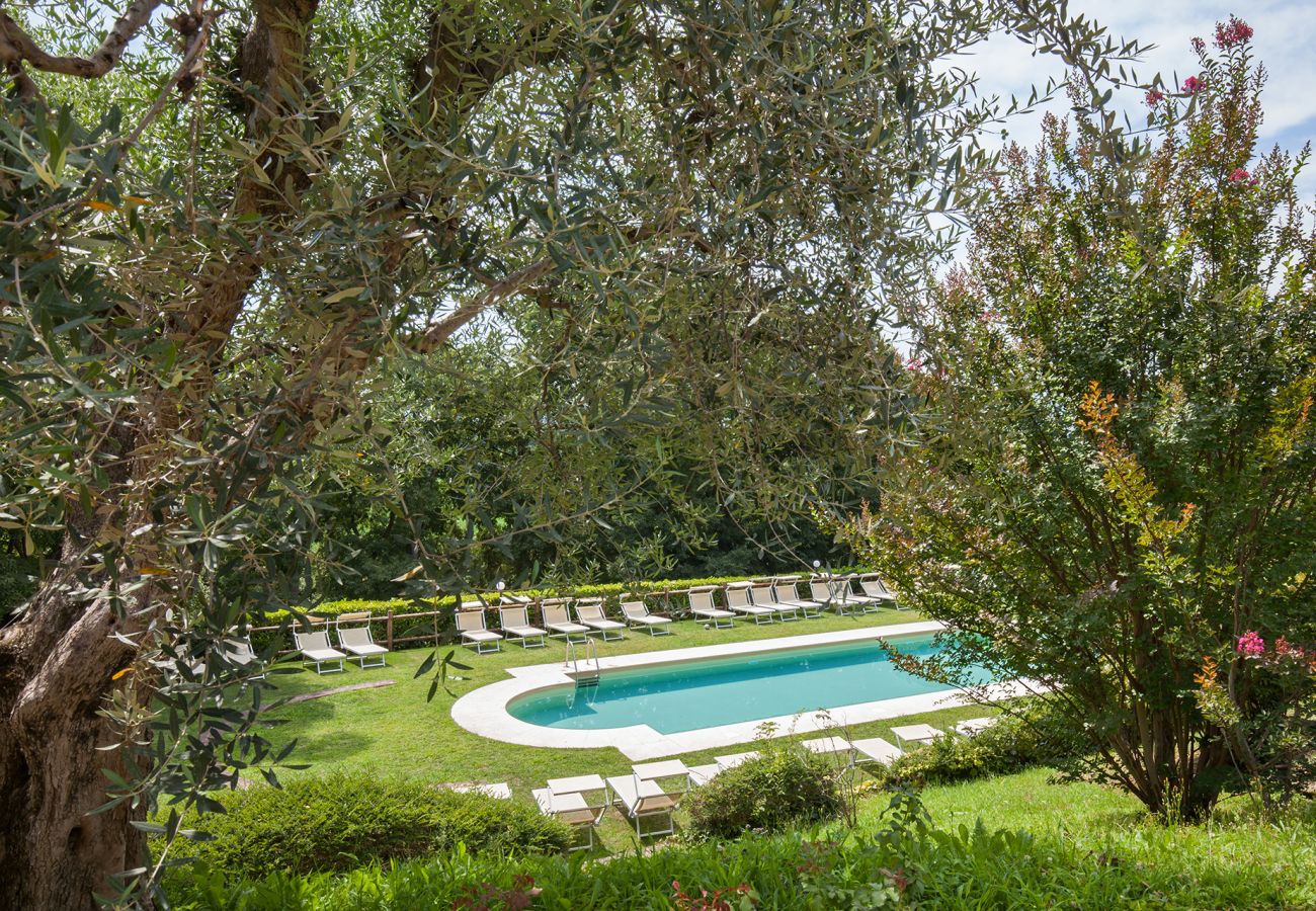 Ferienwohnung in Lazise - Apartment CastellONE with Pool Ferienwohnung in Lazise - Apartment CastellONE with Pool