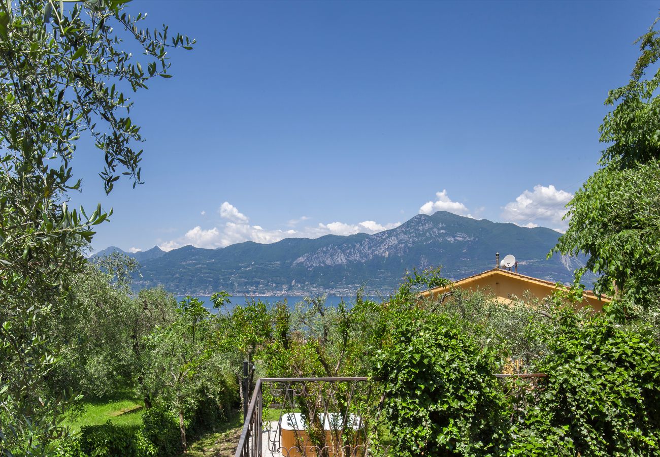 Villa a Torri del Benaco - Villa Carducci with lake view