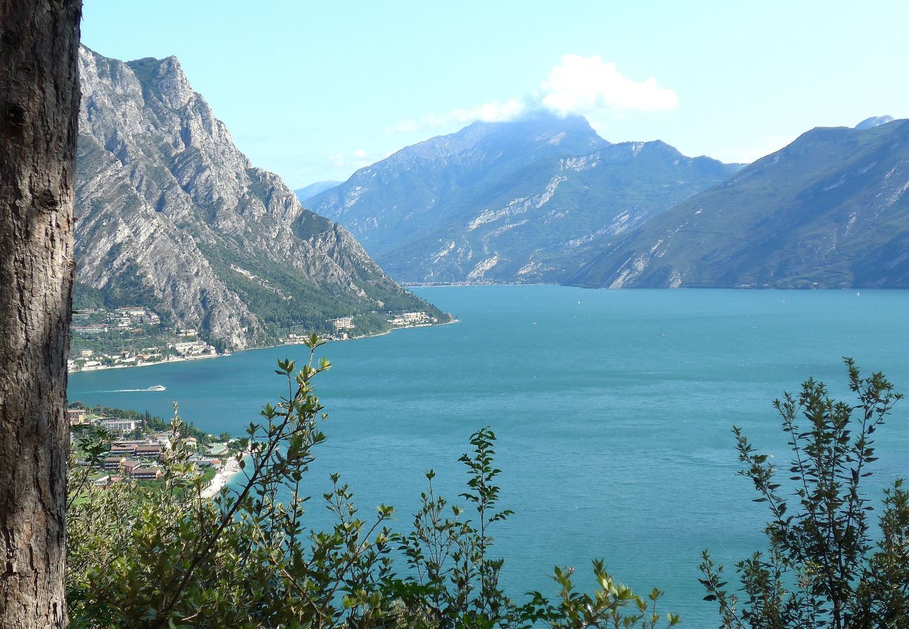 Villa a Limone sul Garda - Villa Abetaia With Pool And Lake View