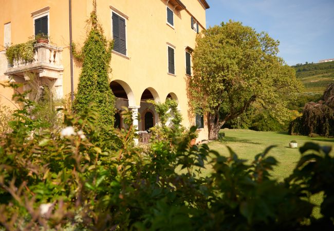 Villa a Verona - Villa Torre di Terzolan With Pool and Jacuzzi