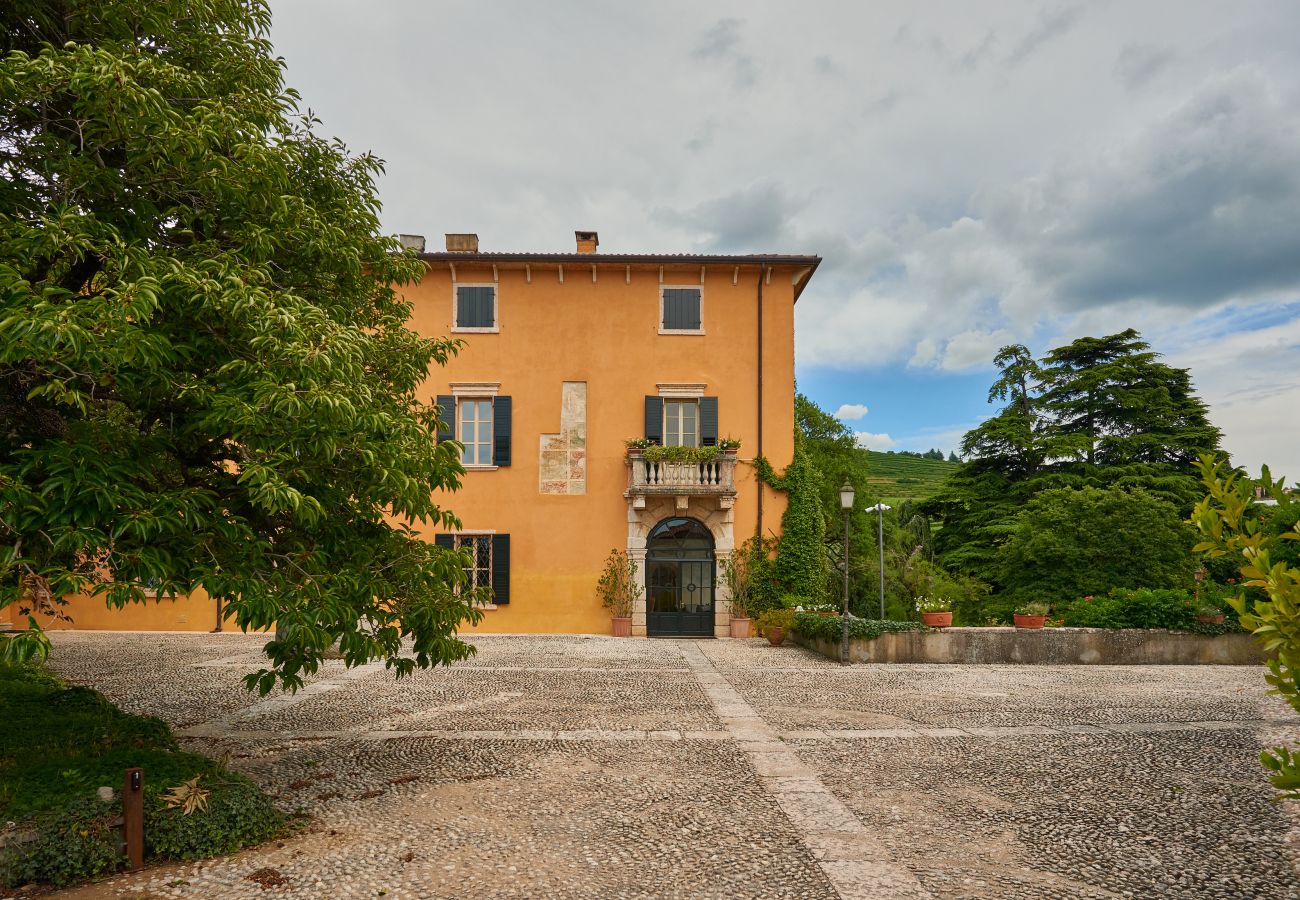 Villa in Verona - Villa Torre di Terzolan With Pool and Jacuzzi