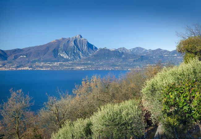 Chalet in Torri del Benaco - Villetta Blue Panorama With Private Jacuzzi