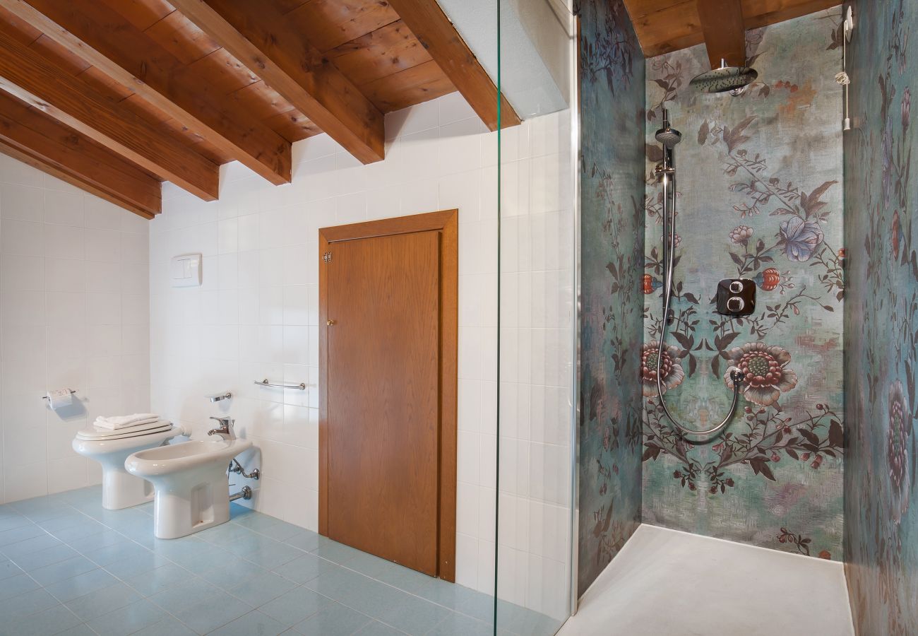Apartment in Torri del Benaco - Giallo Limone Apartment