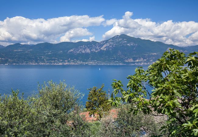 Apartment in Torri del Benaco - Apartment Erika with Lake view Apartment in Torri del Benaco - Apartment Erika with Lake view