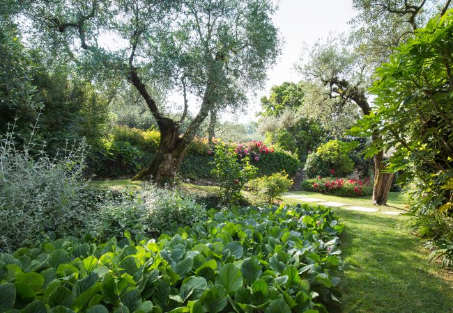 Villa in Torri del Benaco - Villa Claudia with private Pool Villa in Torri del Benaco - Villa Claudia with private Pool