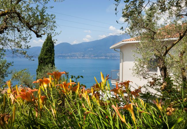 Villa in Torri del Benaco - Villa Claudia with private Pool Villa in Torri del Benaco - Villa Claudia with private Pool