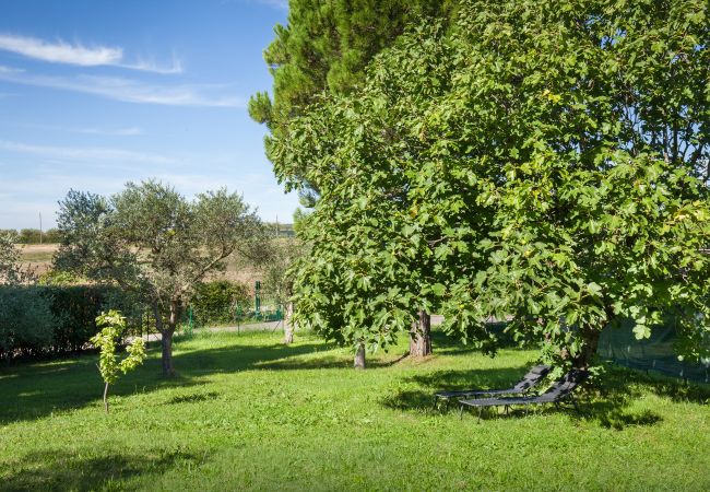 Apartment in Cisano - Apartment Noon with Pool Apartment in Cisano - Apartment Noon with Pool