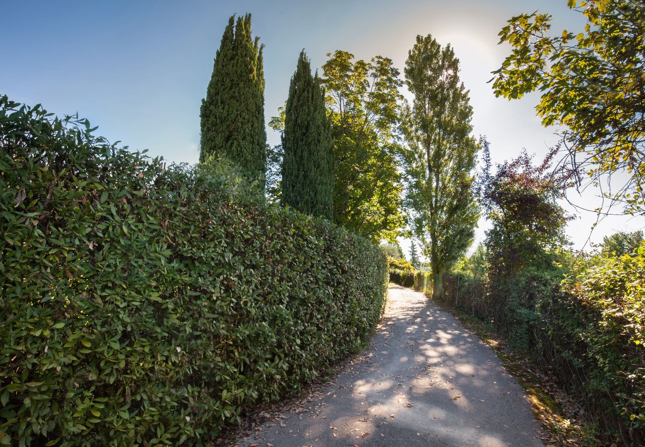 Apartment in Cisano - Apartment Noon with Pool Apartment in Cisano - Apartment Noon with Pool